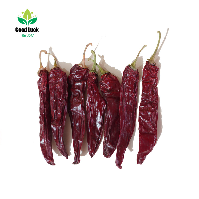 dry red chilli supplier