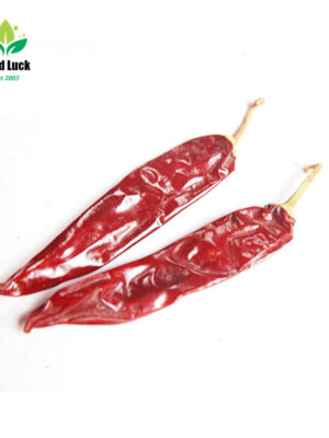 jinta dry chili supplier