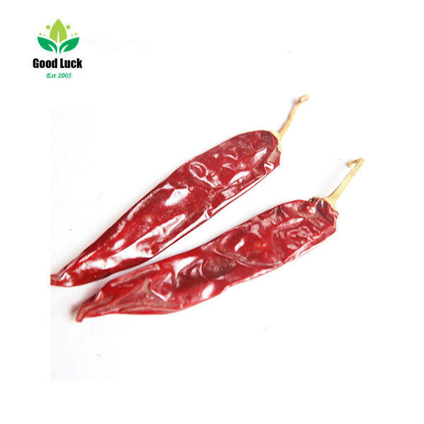 jinta dry chili supplier