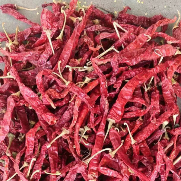 erjintiao dry red chilli exporter