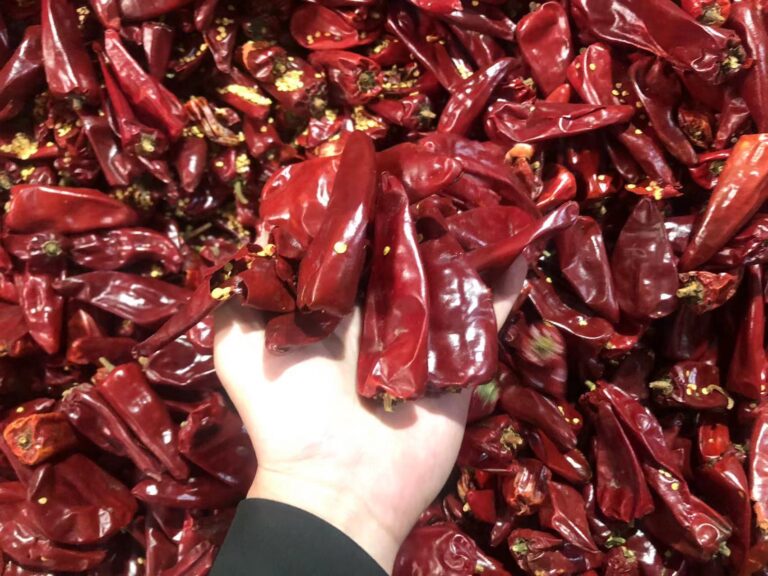 Top 5 Qualities to Look for in a Yidu Dry Chili Supplier